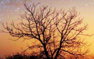 最容易被忽略的一项：蜜桃网从“看着舒服”到“忍不住看完”，差的就是分镜