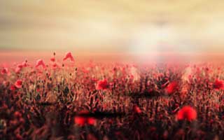 详细阅读:最容易被忽略的一项:蜜桃网从“看着舒服”到“忍不住看完”,差的就是分镜 最容易被忽略的一项:蜜桃网从“看着舒服”到“忍不住看完”,差的就是分镜