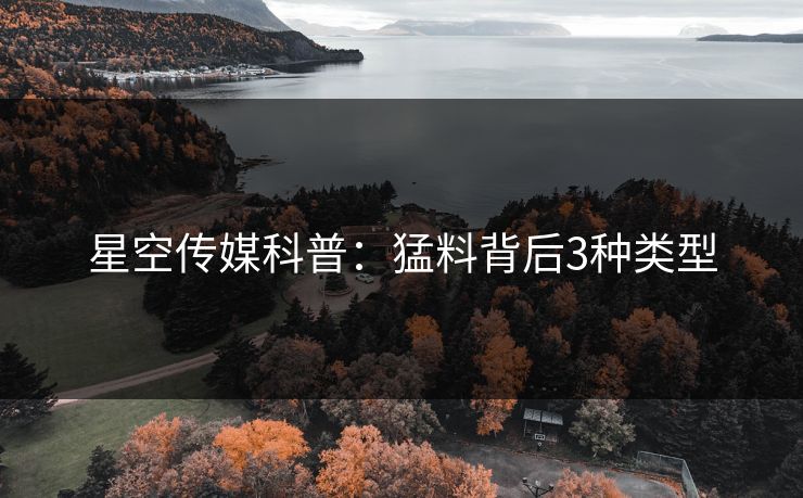 星空传媒科普：猛料背后3种类型